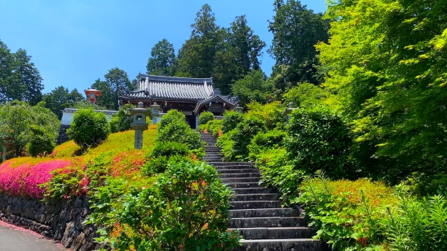 善峯寺の概要